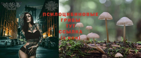 соль ск Балахна