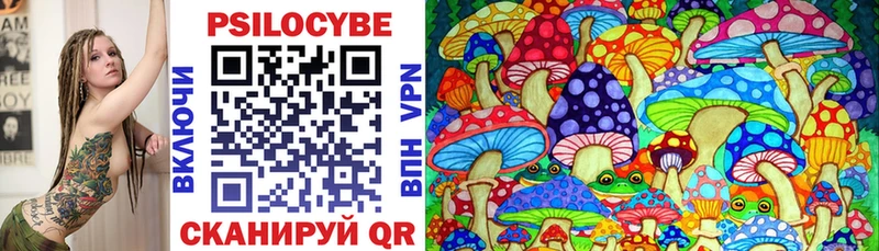 Псилоцибиновые грибы Psilocybine cubensis  Лосино-Петровский 